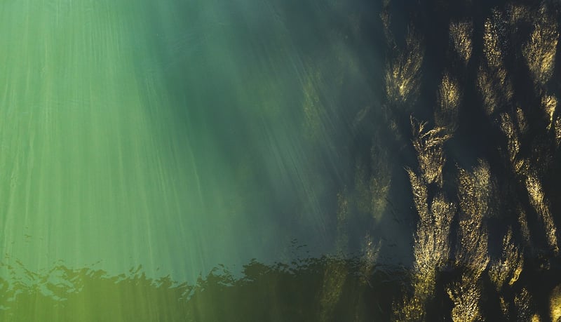 Underwater Discovery
